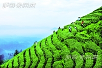 文章附图